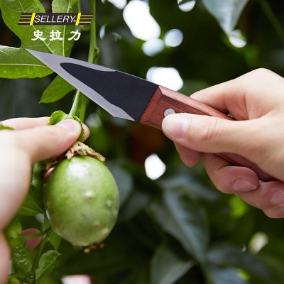 史拉力66-048 木柄嫁接刀园艺园林修剪工具