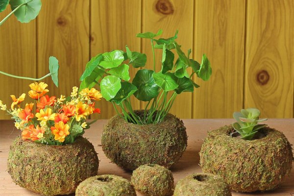 园林植物花境设计四大要点