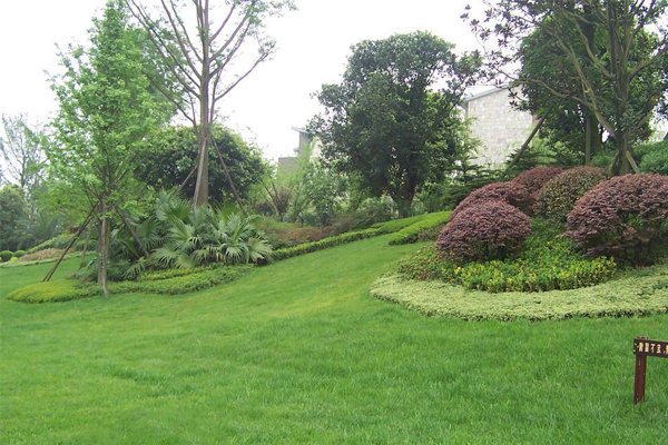 夏季园林植物养护方面及方法