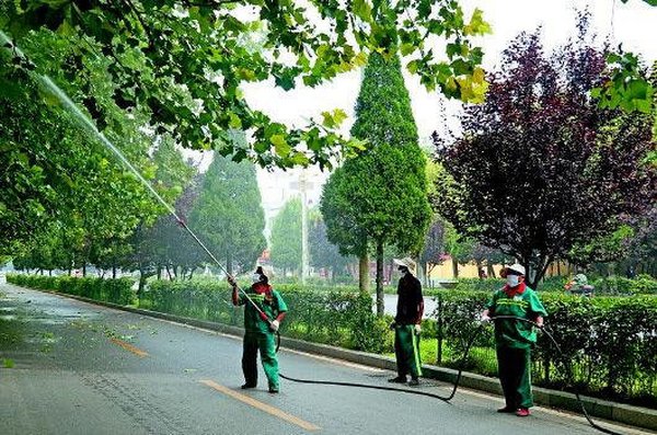 方翅网蝽防治方案