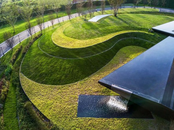 你的植物配置再厉害，又认识几种草坪草呢？
